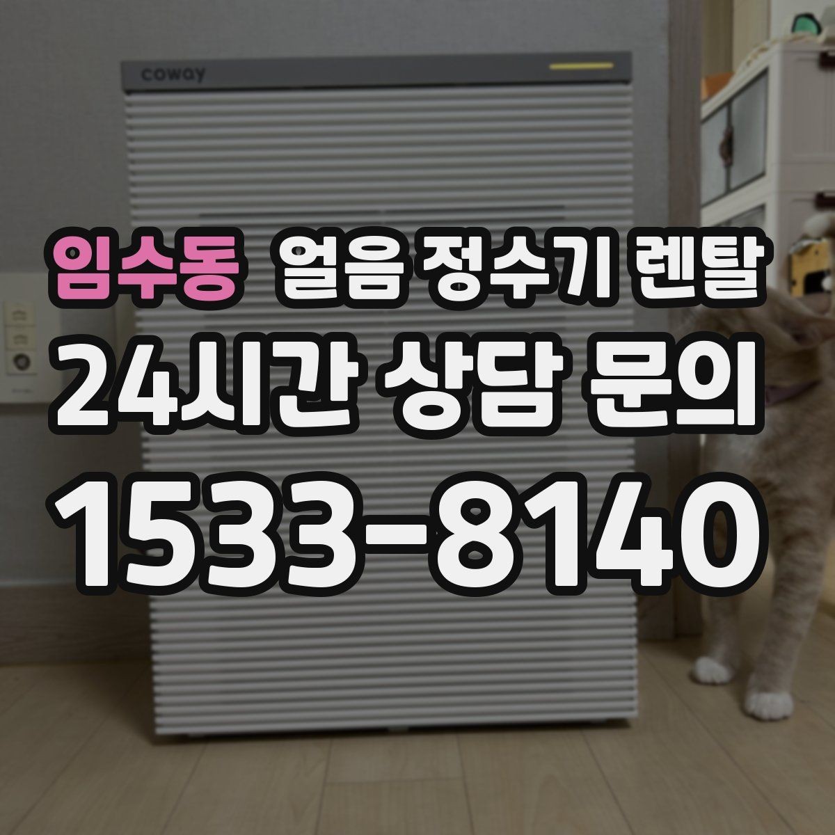 임수동 얼음 정수기 렌탈 물맛이 예민하면 어떤 필터가 맞을까