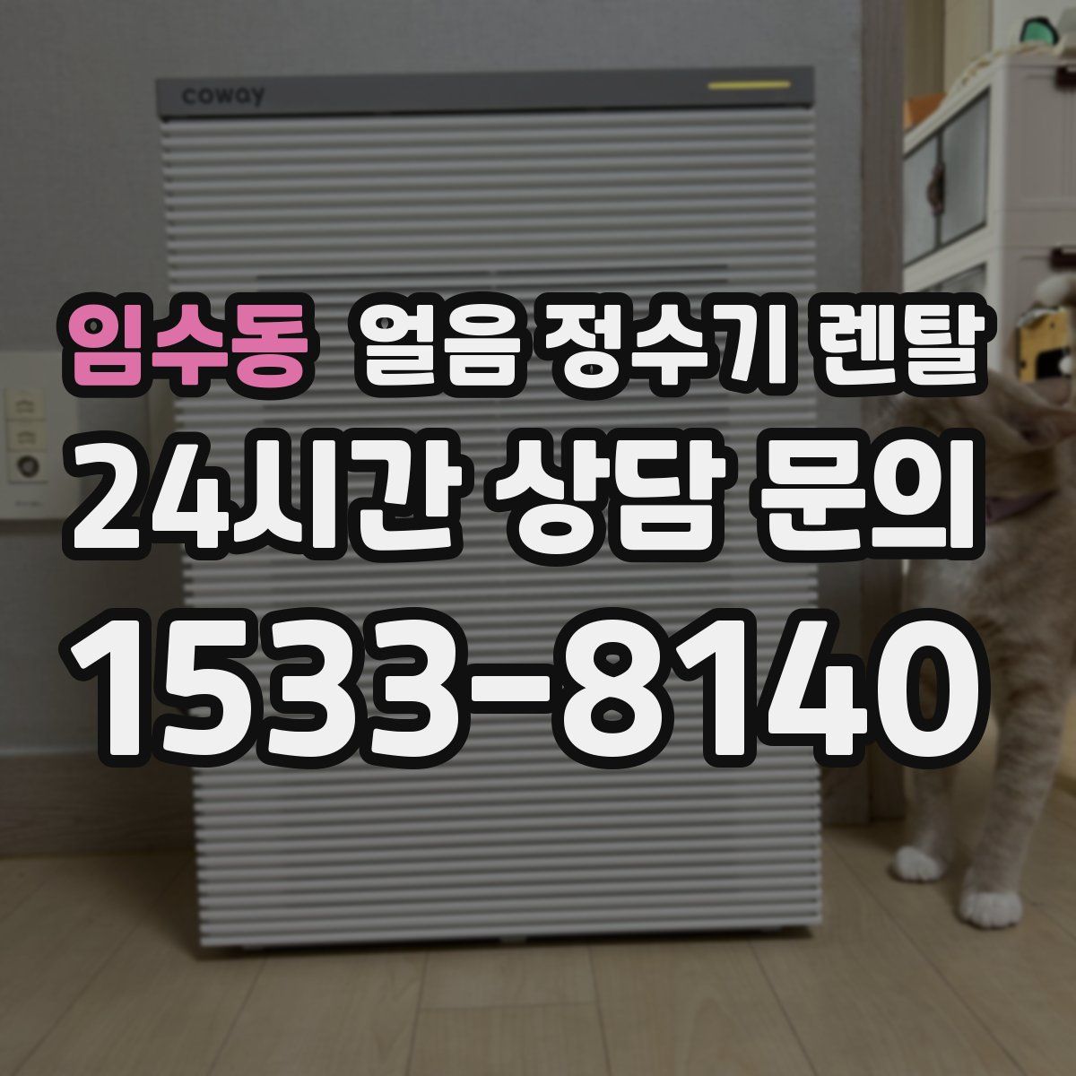 임수동 얼음 정수기 렌탈