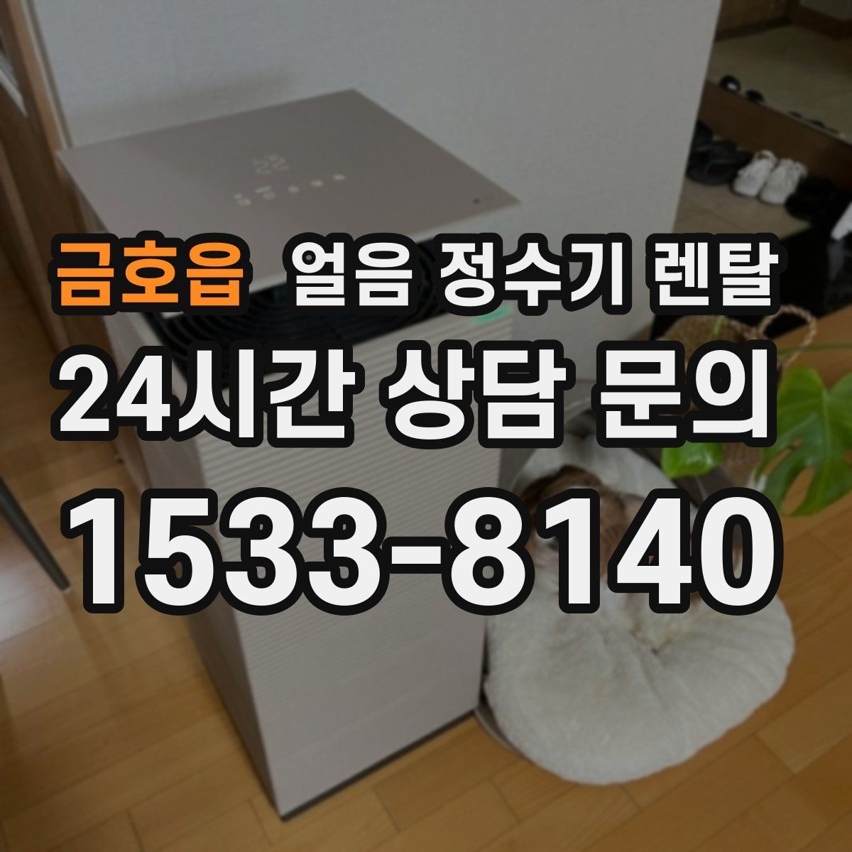 금호읍 얼음 정수기 렌탈 제빙 소음이 신경 쓰이면 체크할 것