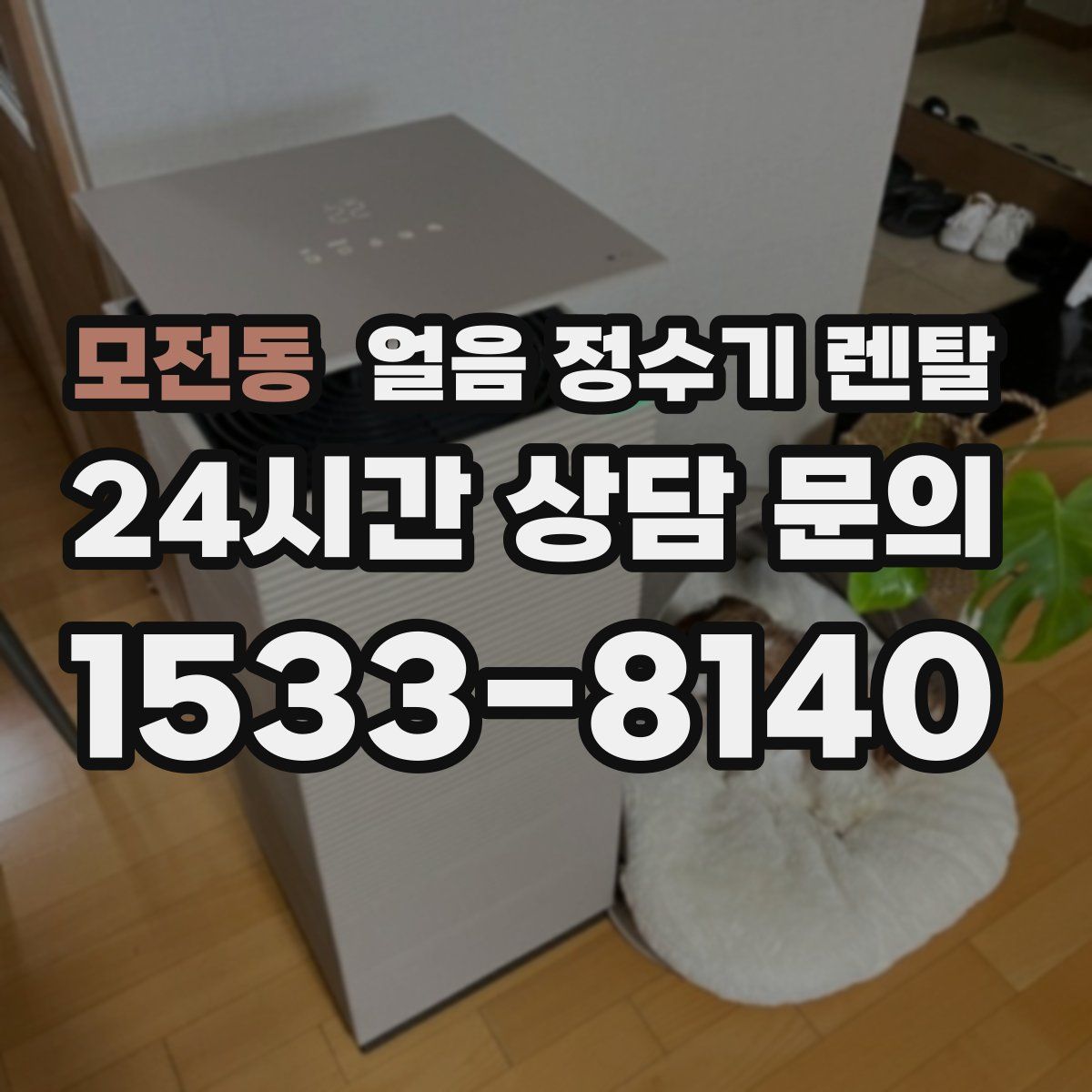 모전동 얼음 정수기 렌탈