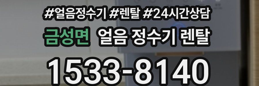 금성면 얼음 정수기 렌탈