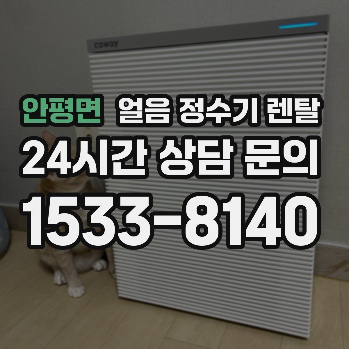 안평면 얼음 정수기 렌탈 생수 얼음 구매 비용과 비교하면 달라지는 계산
