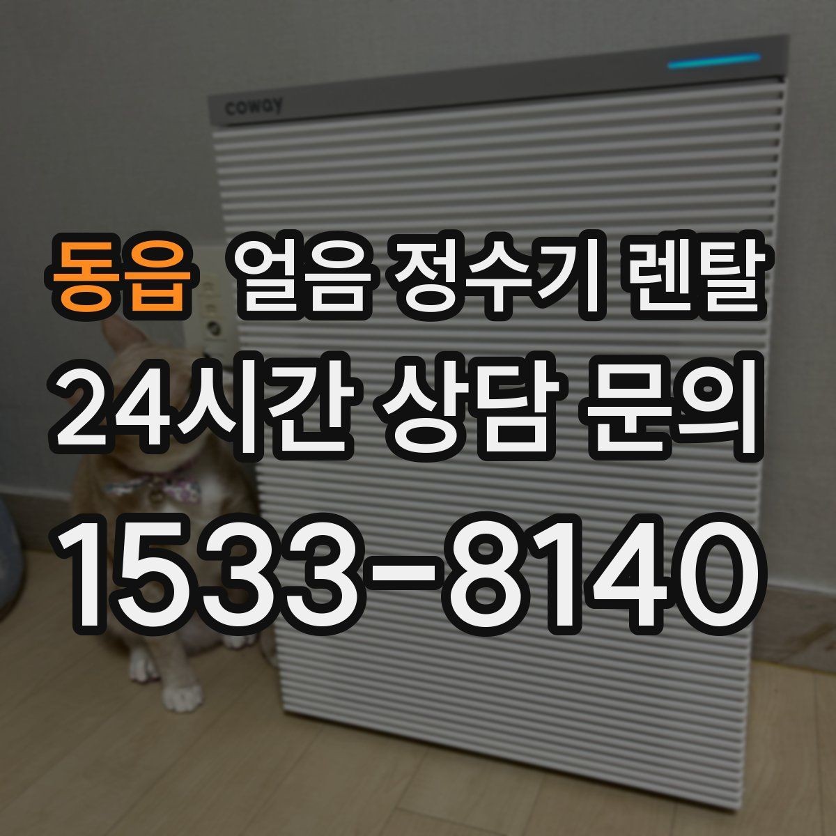 동읍 얼음 정수기 렌탈 얼음에서 냄새가 나면 점검해야 할 것