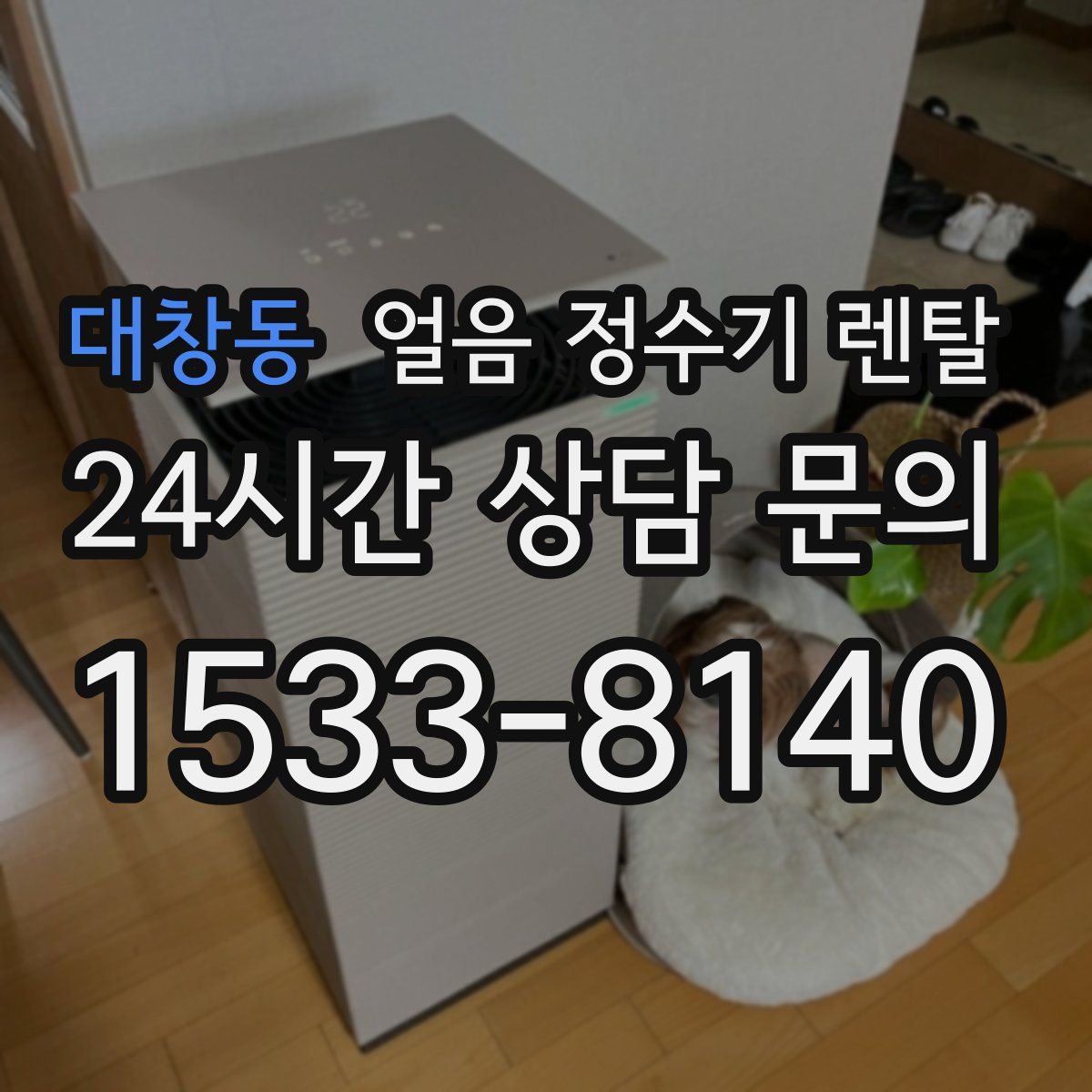 대창동 얼음 정수기 렌탈