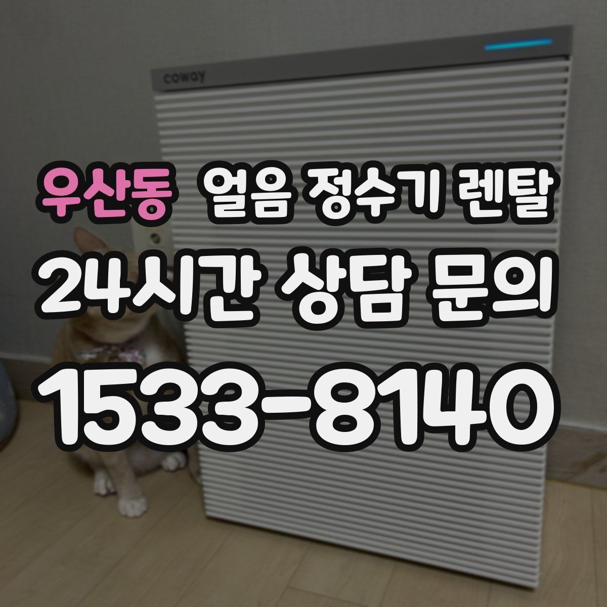 우산동 얼음 정수기 렌탈 가스레인지 옆 설치가 불리한 이유