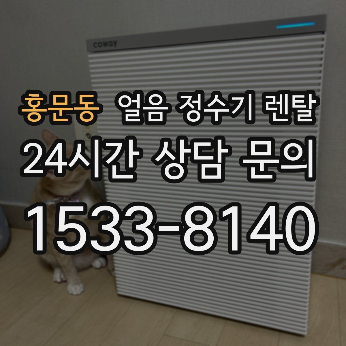 홍문동 얼음 정수기 렌탈 제빙부 청소 주기 놓치면 생기는 문제