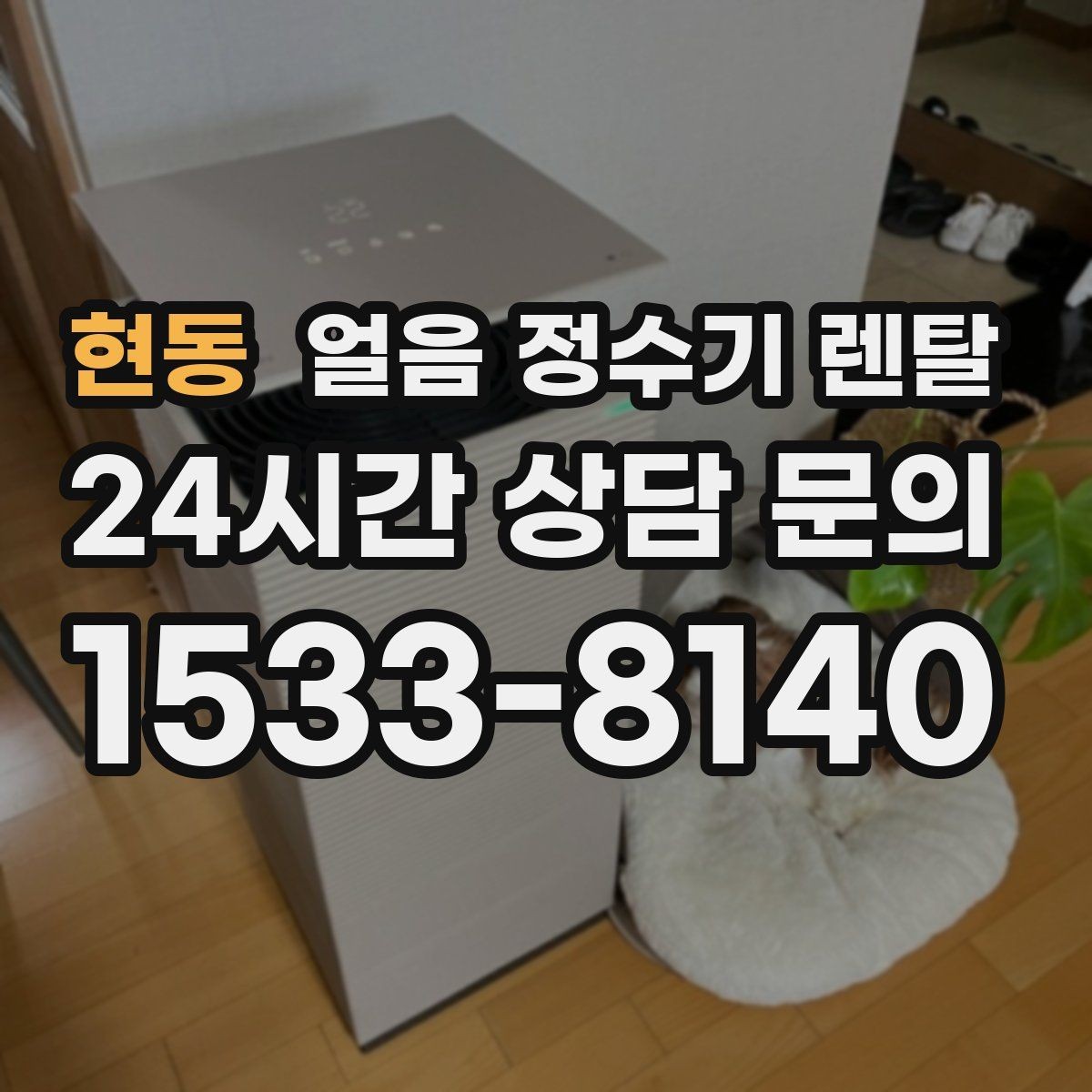 현동 얼음 정수기 렌탈 관리가 간단한 모델의 공통 특징