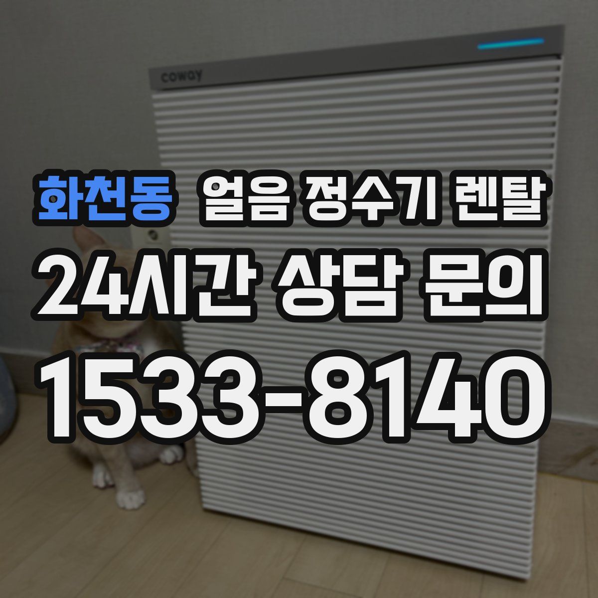 화천동 얼음 정수기 렌탈