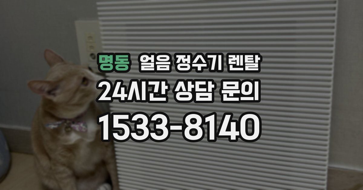 명동 얼음 정수기 렌탈