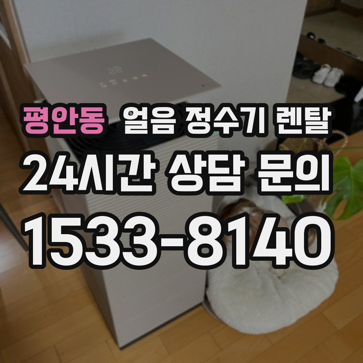 평안동 얼음 정수기 렌탈