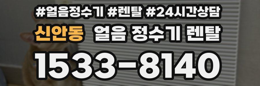 신안동 얼음 정수기 렌탈