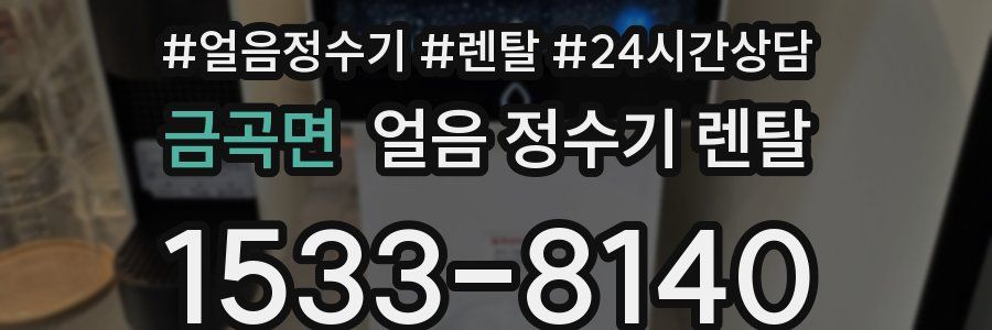 금곡면 얼음 정수기 렌탈