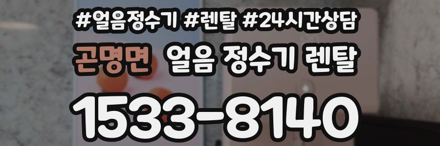 곤명면 얼음 정수기 렌탈