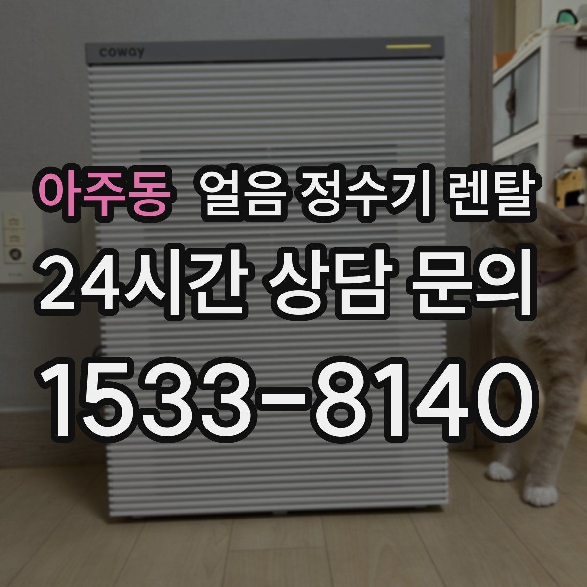 아주동 얼음 정수기 렌탈 위생을 좌우하는 건 제빙부 관리입니다