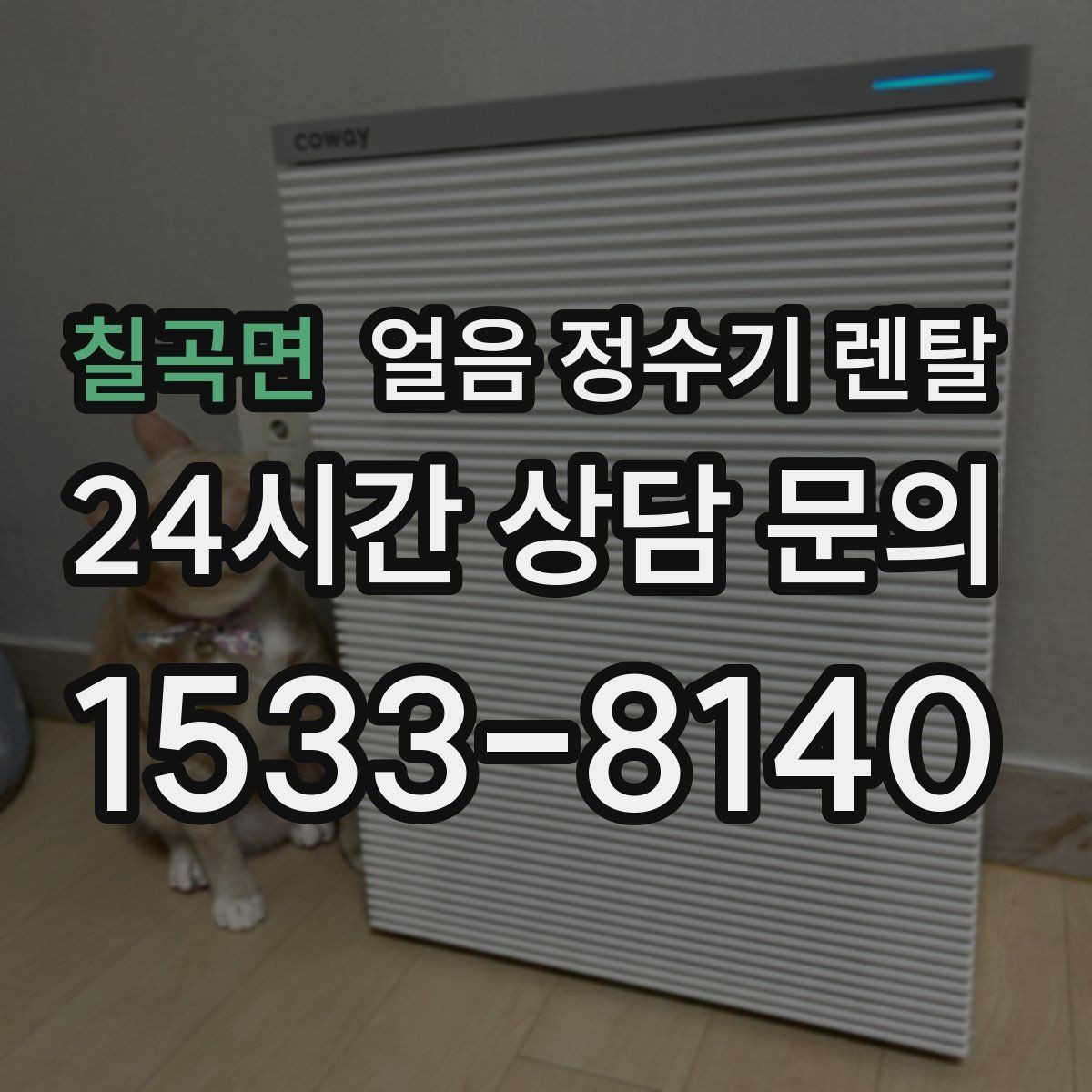 칠곡면 얼음 정수기 렌탈 인테리어 해치지 않게 배치하는 팁