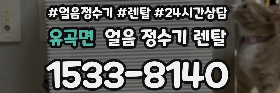 유곡면 얼음 정수기 렌탈