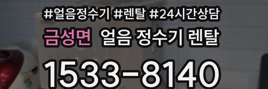 금성면 얼음 정수기 렌탈