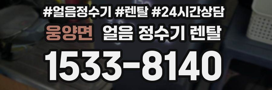 웅양면 얼음 정수기 렌탈