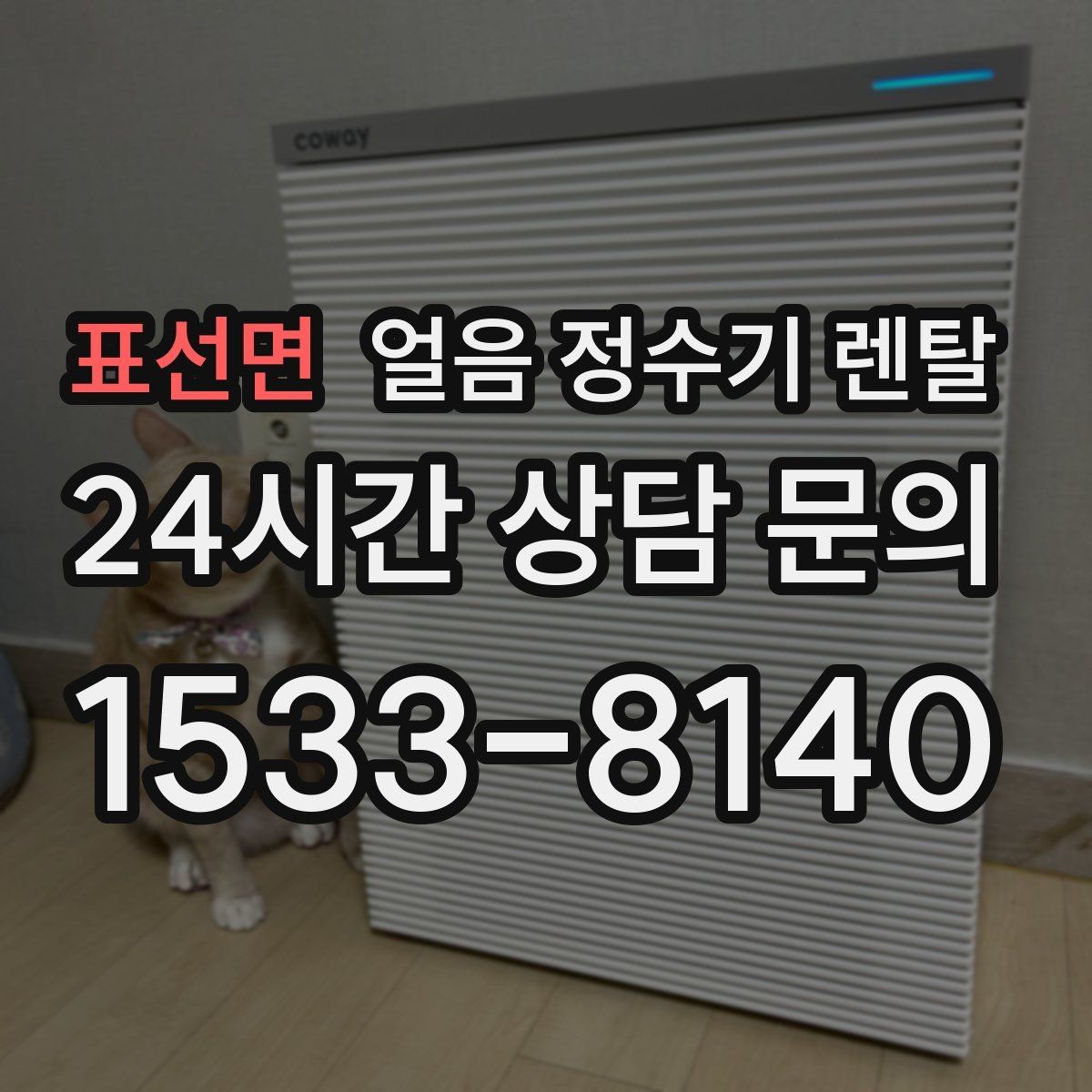 표선면 얼음 정수기 렌탈 냉동실 공간이 넓어지는 체감 변화