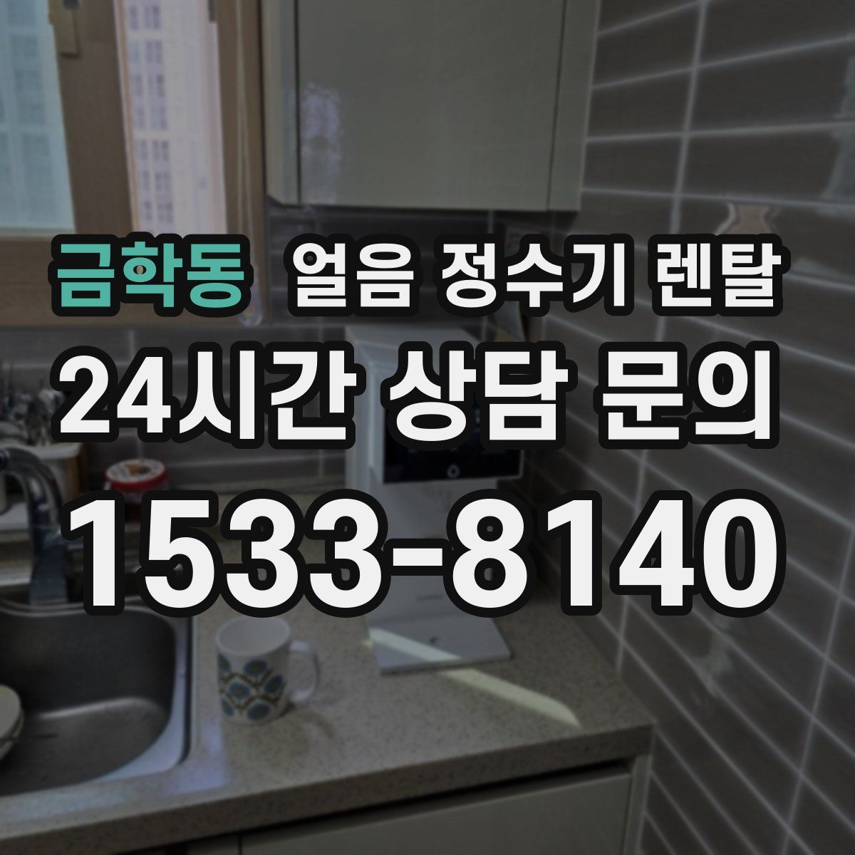 금학동 얼음 정수기 렌탈