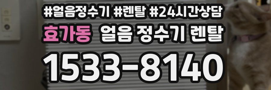 효가동 얼음 정수기 렌탈