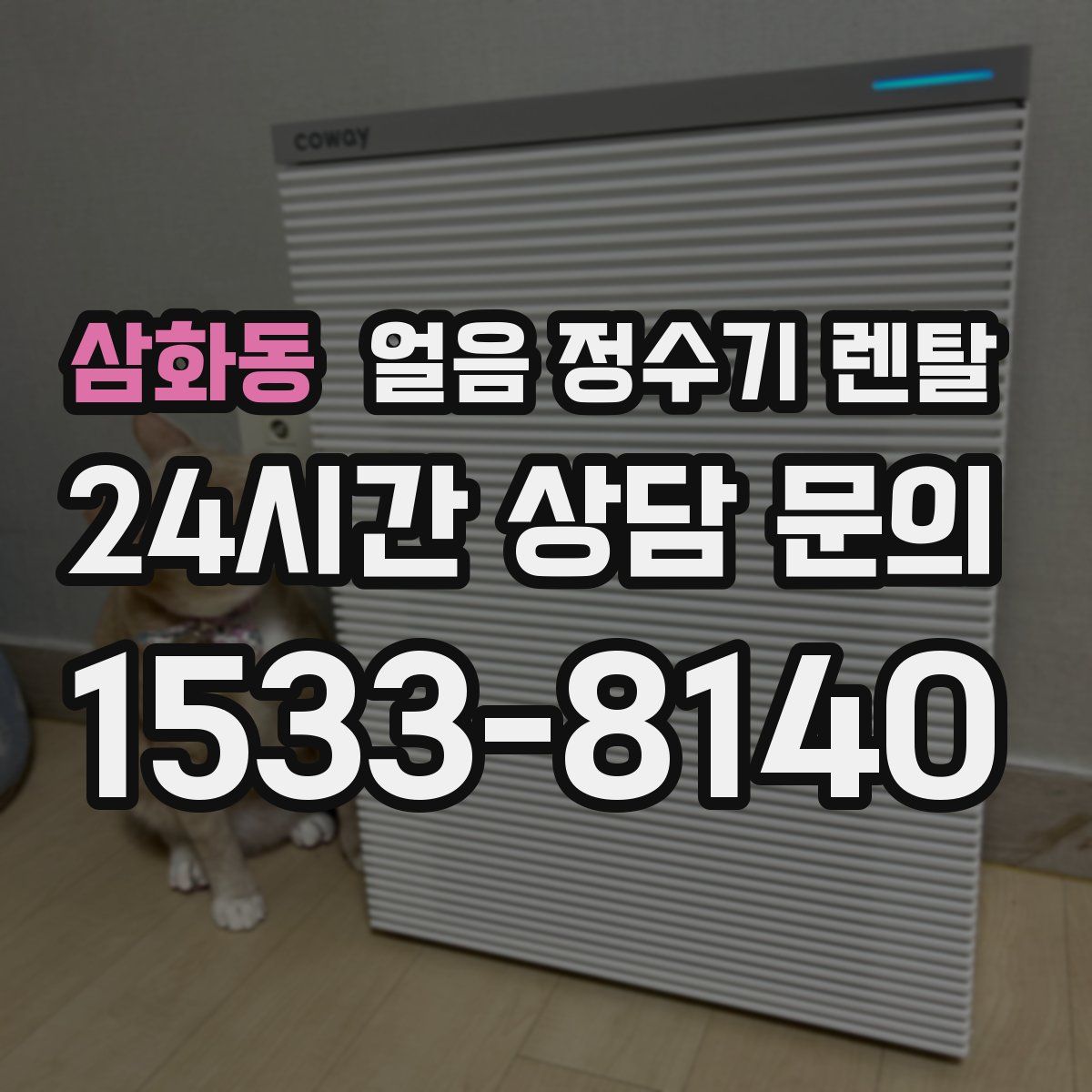 삼화동 얼음 정수기 렌탈