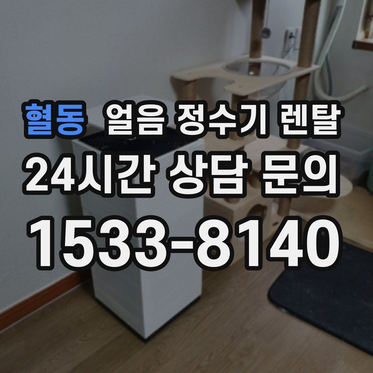 혈동 얼음 정수기 렌탈 렌탈 vs 구매, 얼음 기능은 어떤 선택이 유리할까