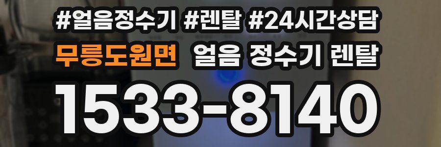 무릉도원면 얼음 정수기 렌탈