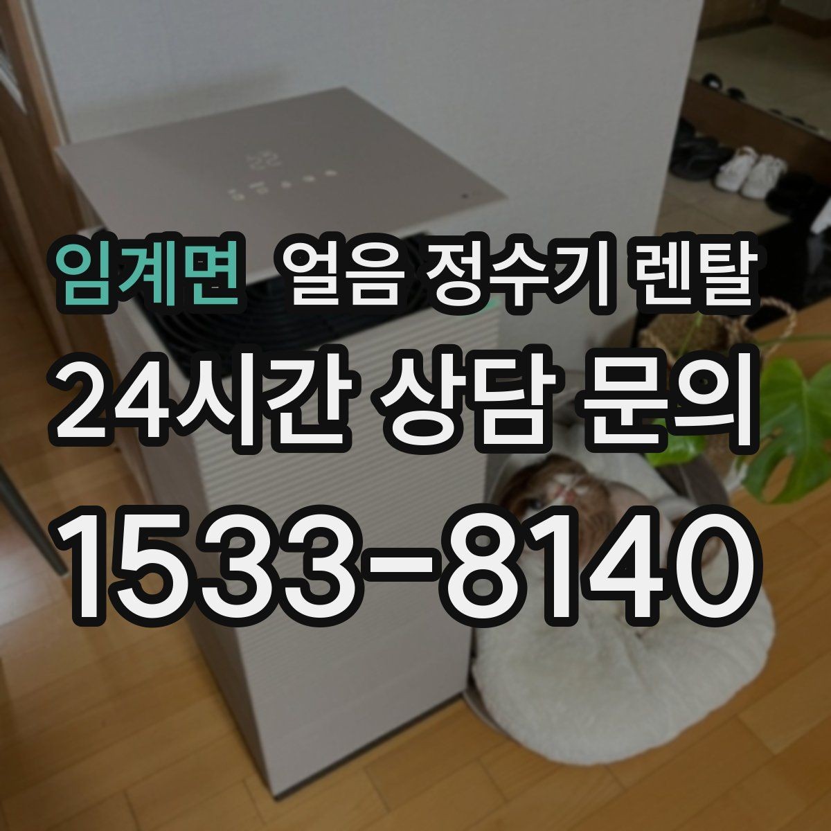 임계면 얼음 정수기 렌탈 선택 기준을 한 장으로 정리했습니다