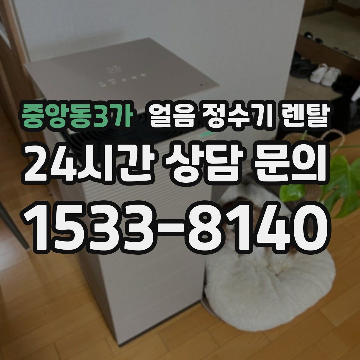 중앙동3가 얼음 정수기 렌탈 햇빛 열기 많은 곳을 피해야 하는 이유