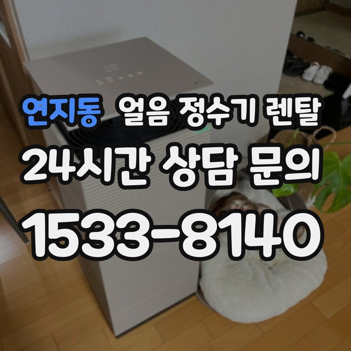 연지동 얼음 정수기 렌탈 제빙부 청소 주기를 놓치면 생기는 문제