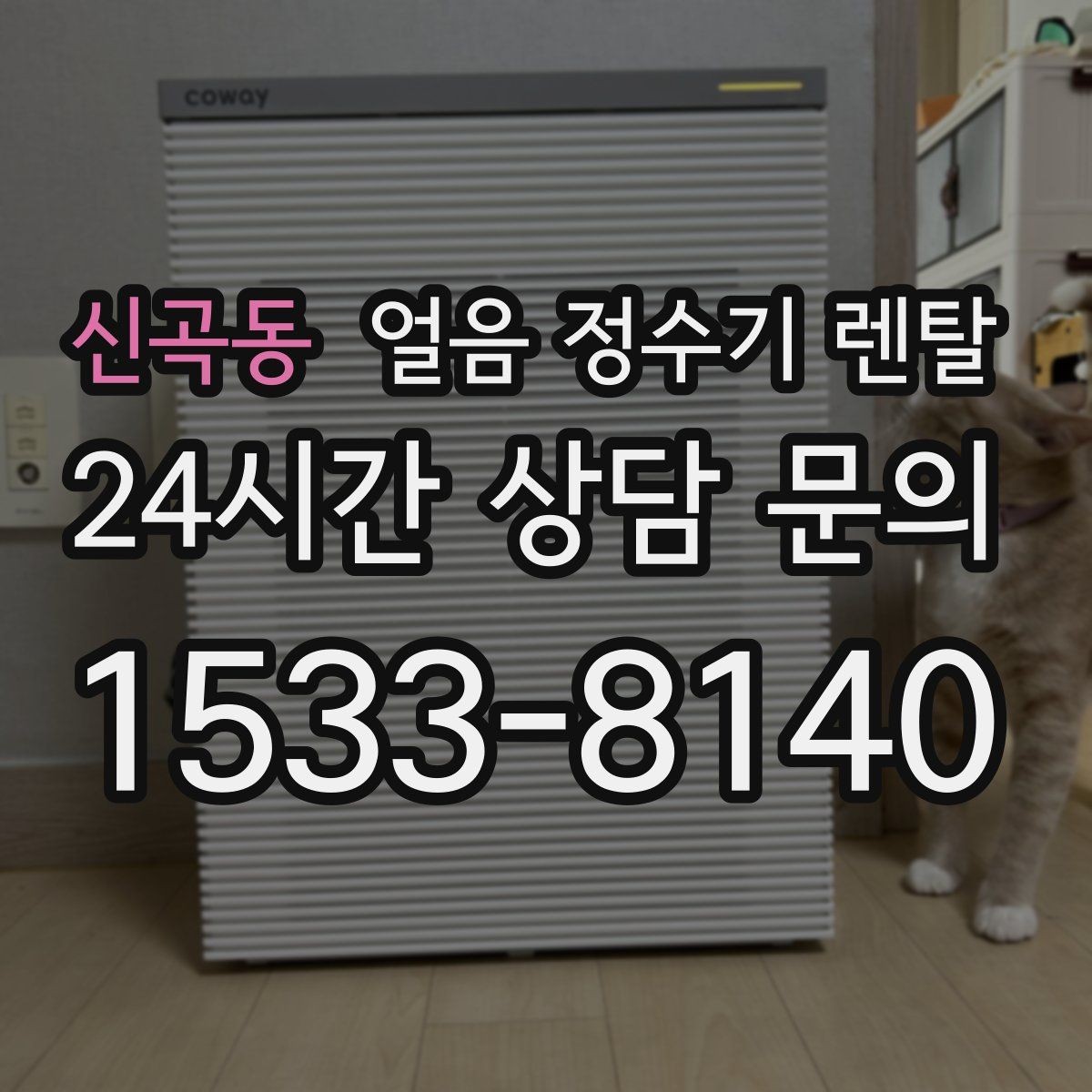 신곡동 얼음 정수기 렌탈 약정(3년 5년) 선택이 중요한 이유