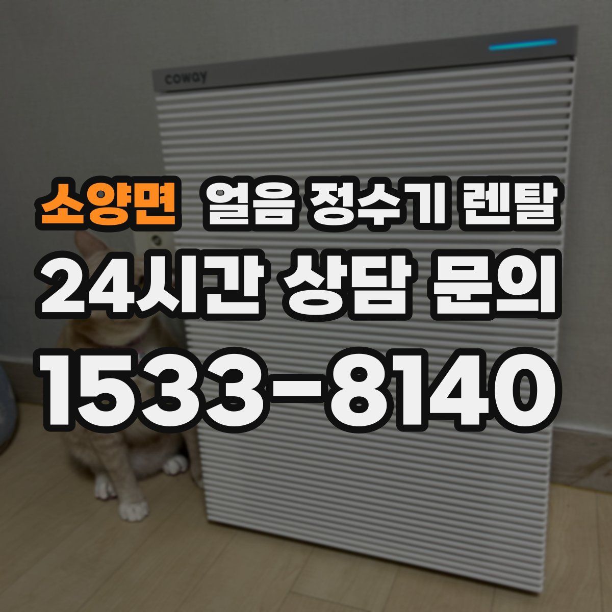 소양면 얼음 정수기 렌탈