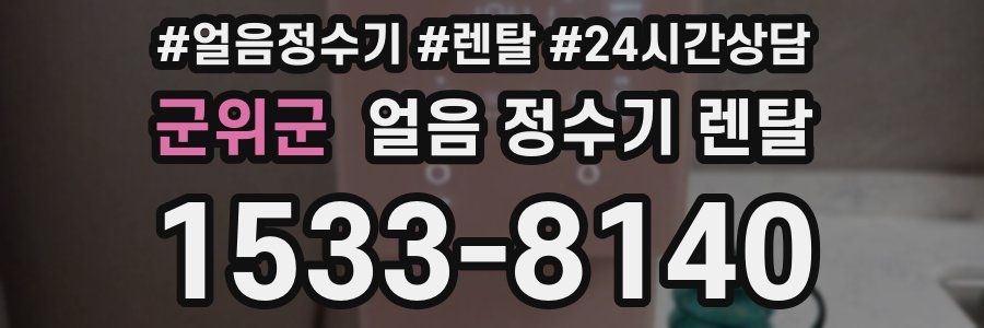 군위군 얼음 정수기 렌탈