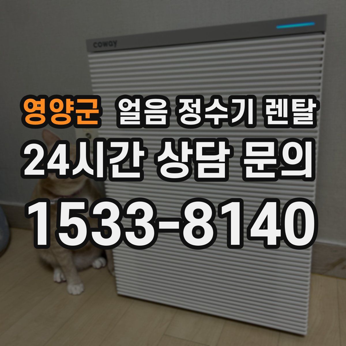 영양군 얼음 정수기 렌탈