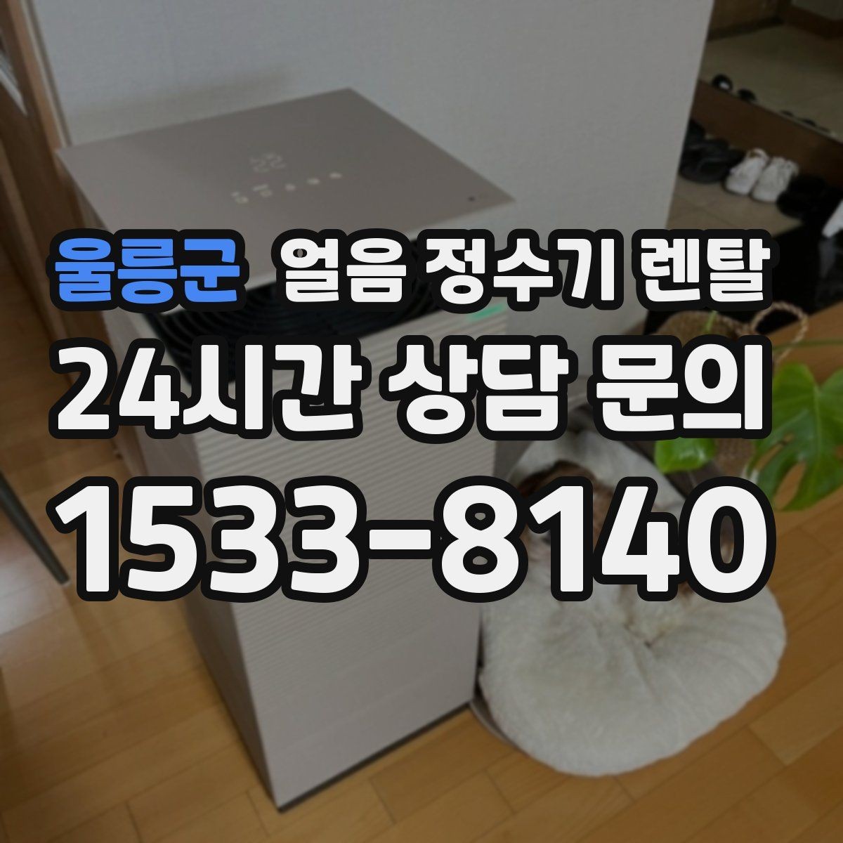 울릉군 얼음 정수기 렌탈 냉동실 얼음 대신 위생이 좋아지는 이유