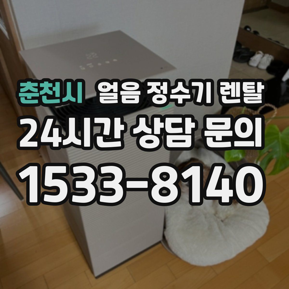 춘천시 얼음 정수기 렌탈