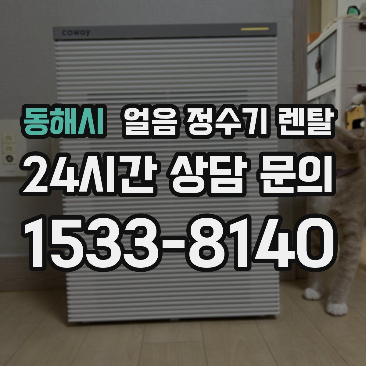 동해시 얼음 정수기 렌탈