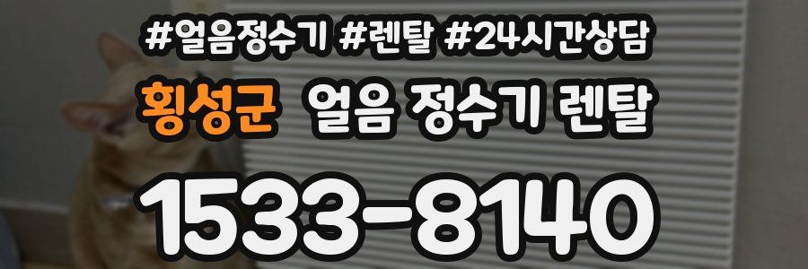 횡성군 얼음 정수기 렌탈