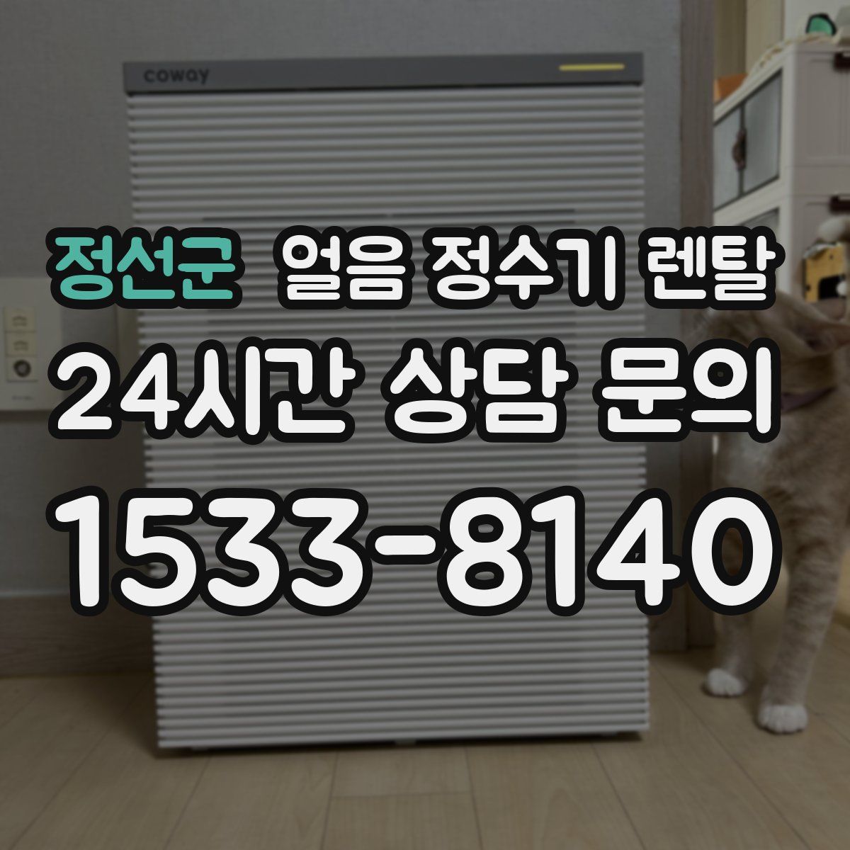 정선군 얼음 정수기 렌탈