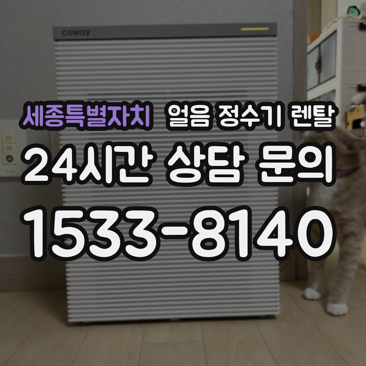 세종특별자치 얼음 정수기 렌탈