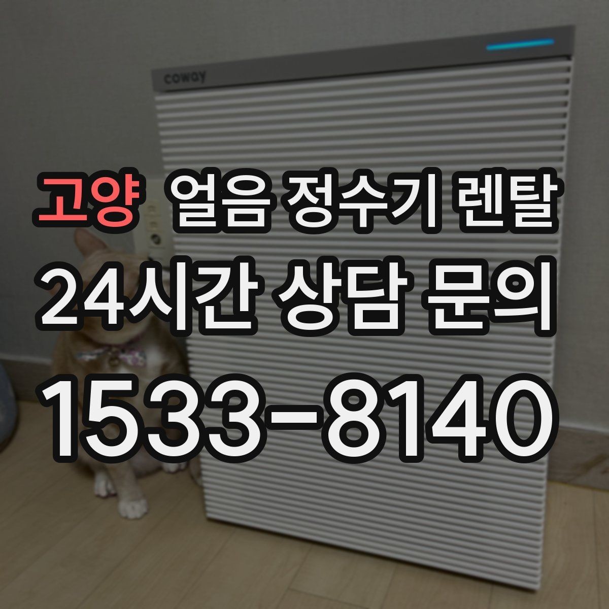 고양 얼음 정수기 렌탈 이전 설치 예약이 중요한 이유
