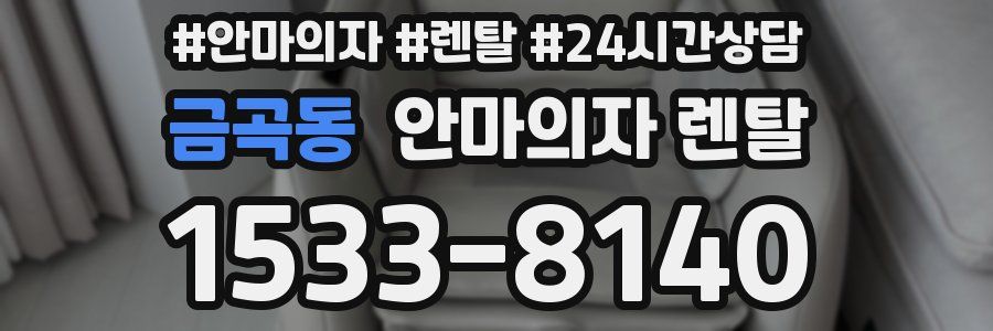 금곡동 안마의자 렌탈