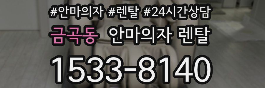 금곡동 안마의자 렌탈