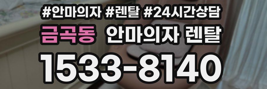 금곡동 안마의자 렌탈