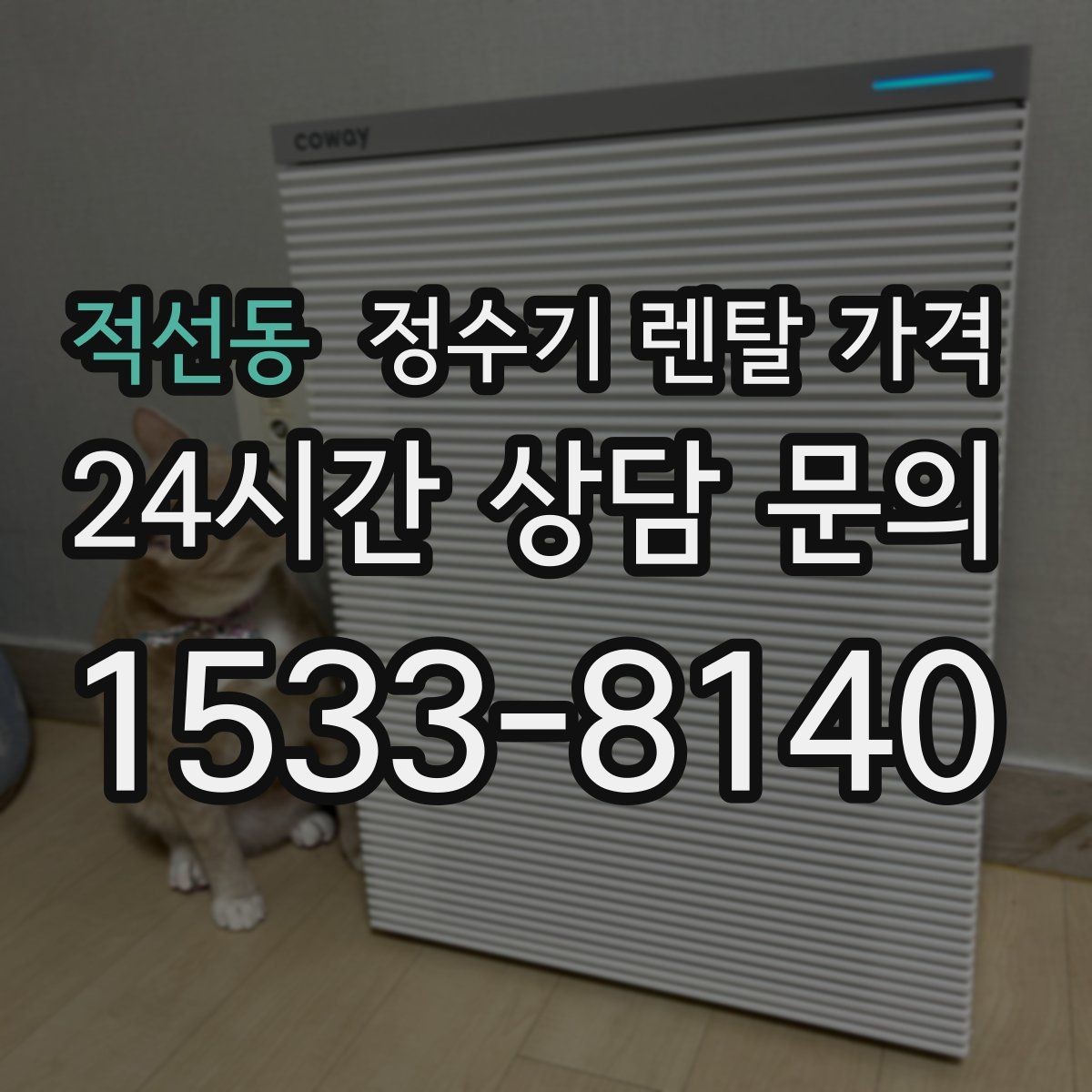 적선동 정수기 렌탈 가격 실제 사용 기준으로 비교하는 방법