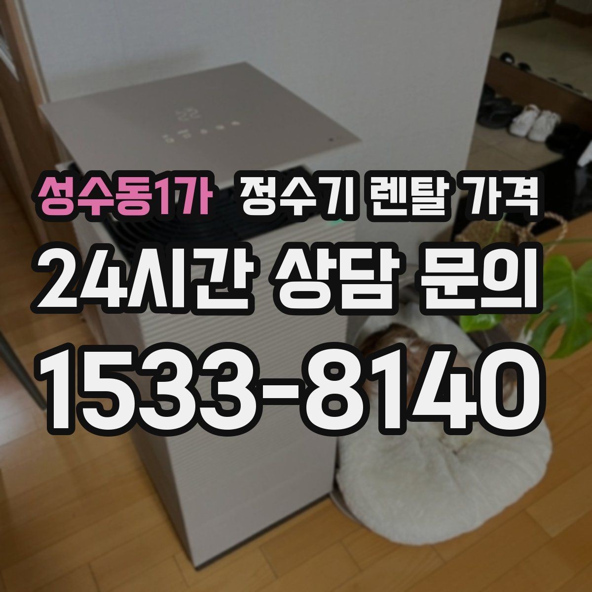 성수동1가 정수기 렌탈 가격 직수형이 인기 있는 이유