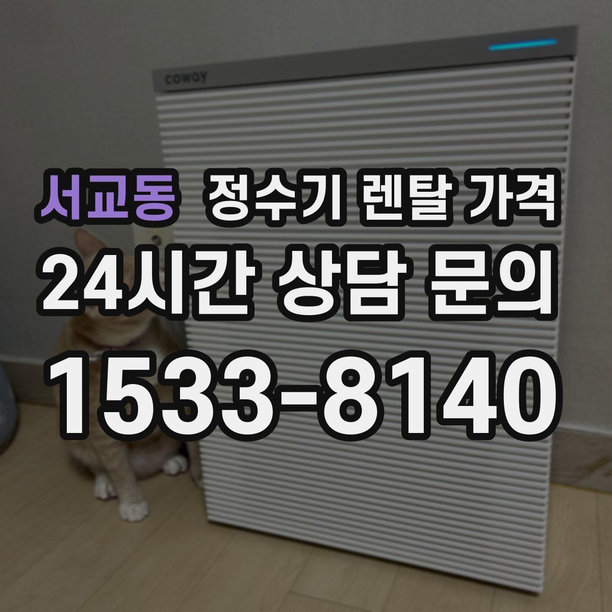 서교동 정수기 렌탈 가격