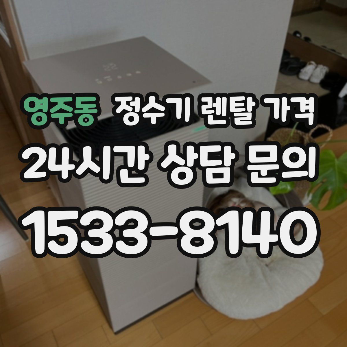 영주동 정수기 렌탈 가격