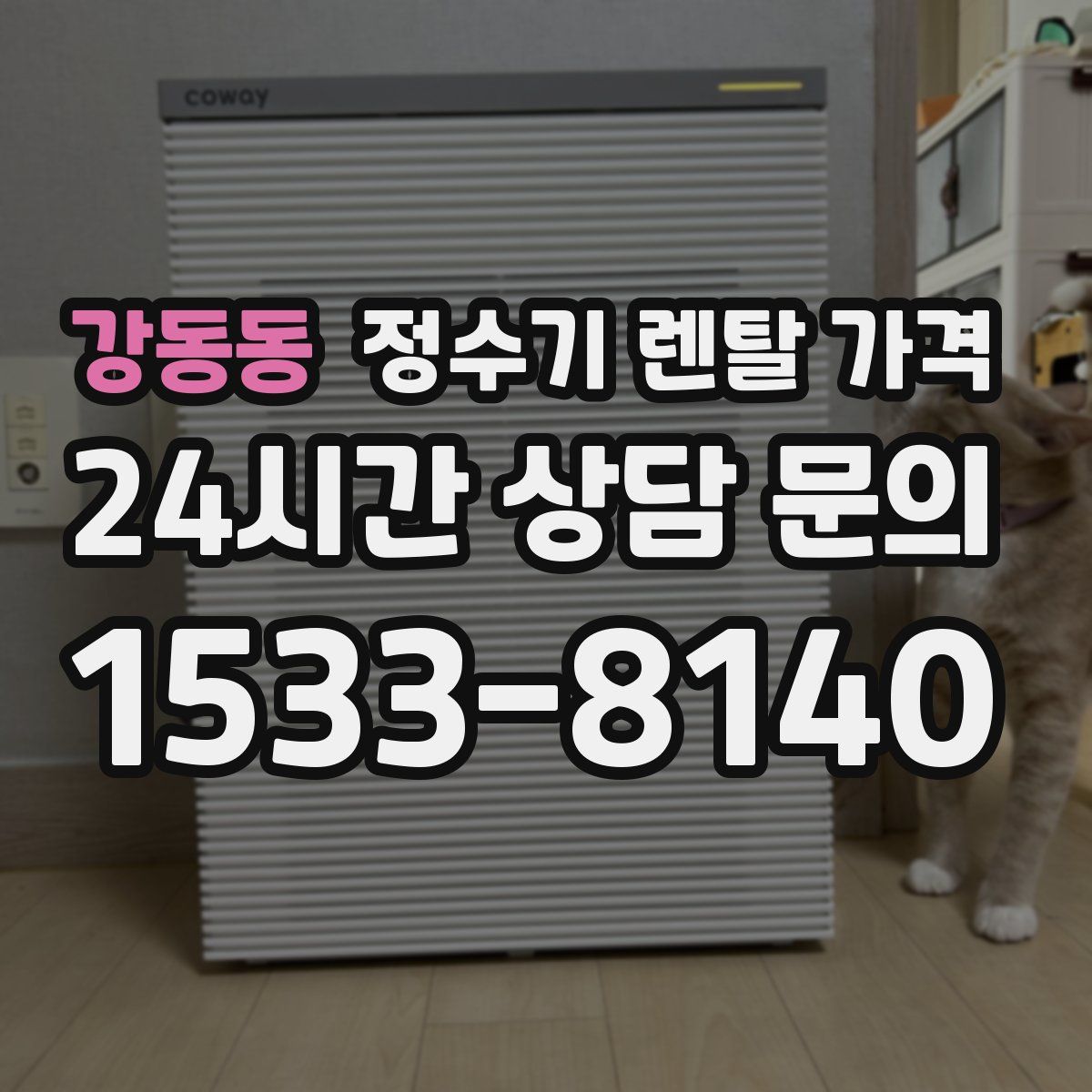 강동동 정수기 렌탈 가격